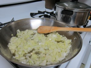 onion sautee