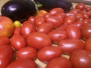 A few of the things you'll need